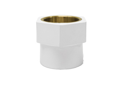 Female Threaded Adaptor (Sch 80)